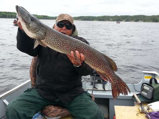 Northern Pike