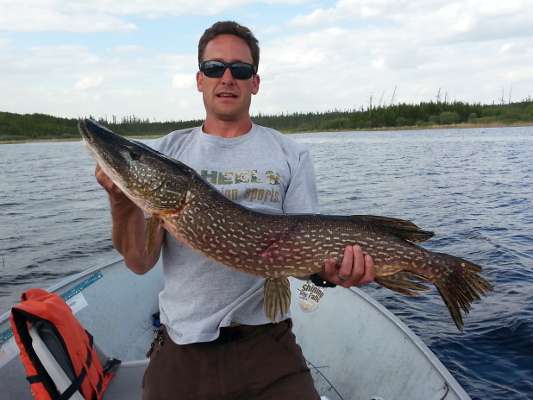 Northern Pike
