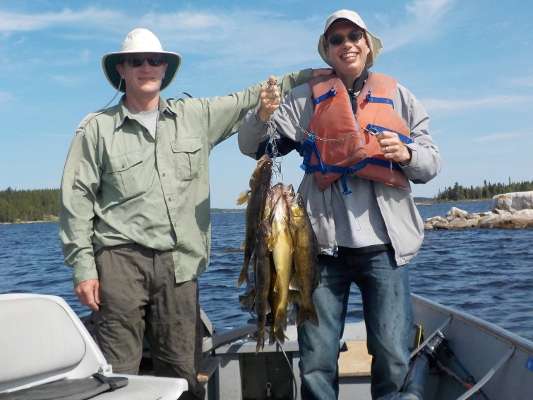 Walleye