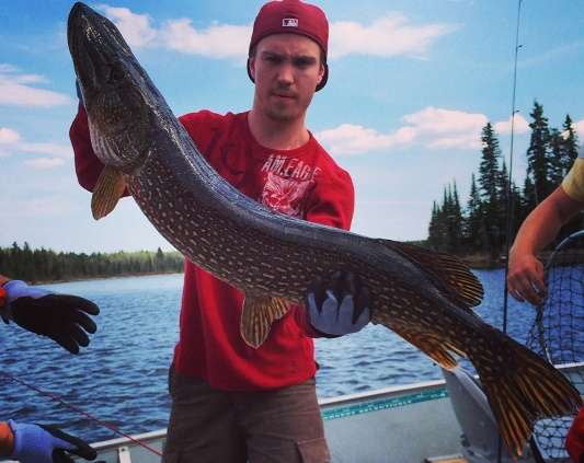 Northern Pike