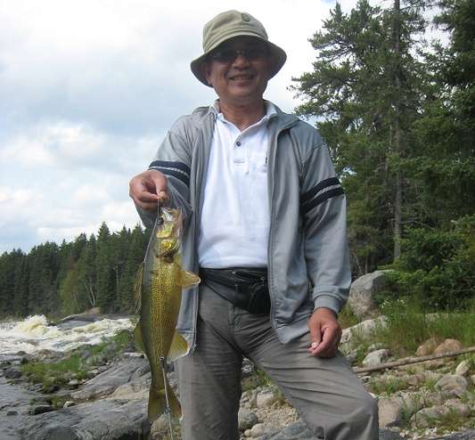 Walleye
