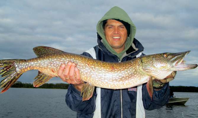 Northern Pike