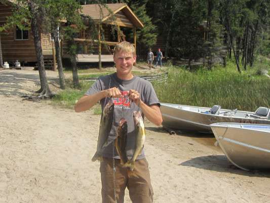 Walleye