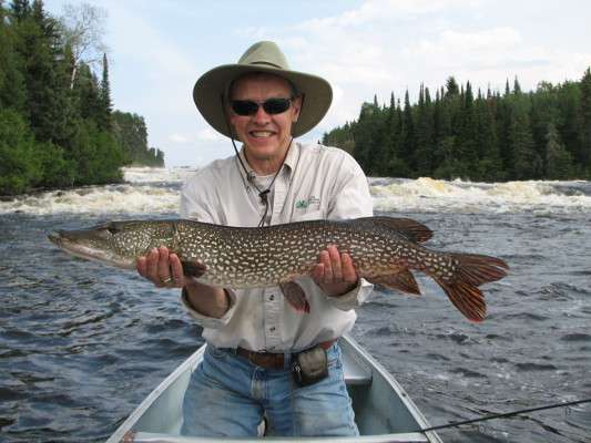 Northern Pike