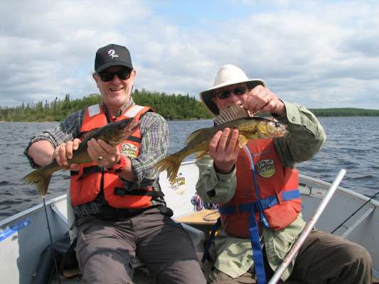 Walleye