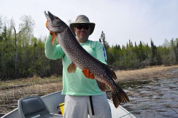Northern Pike