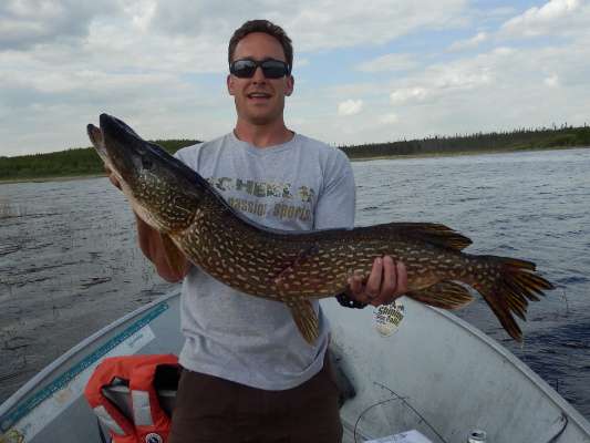 Northern Pike
