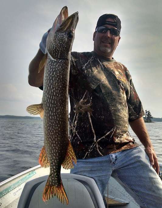 Northern Pike