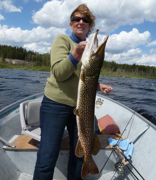 Northern Pike