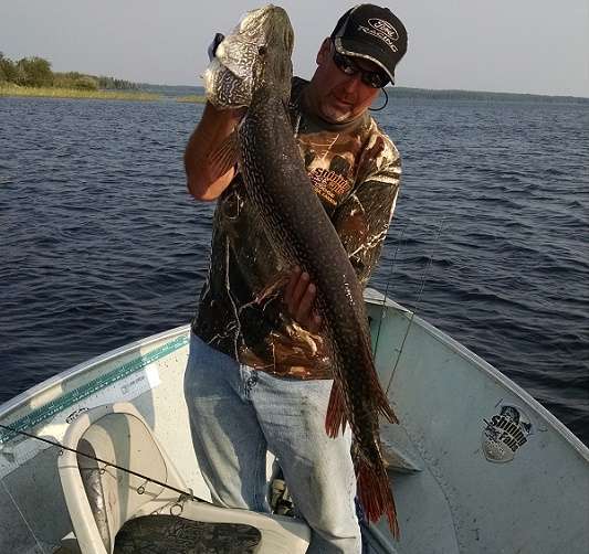 Northern Pike