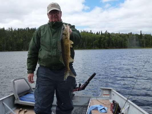 Walleye