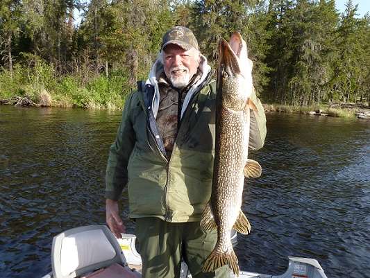 Northern Pike