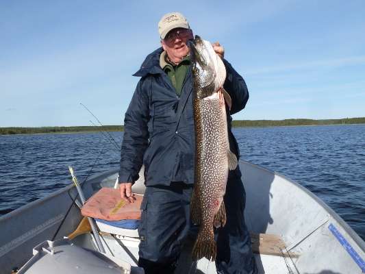 Northern Pike