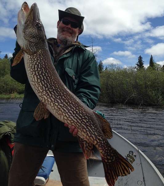 Northern Pike