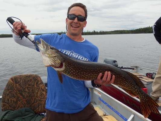 Northern Pike
