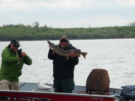 Northern Pike