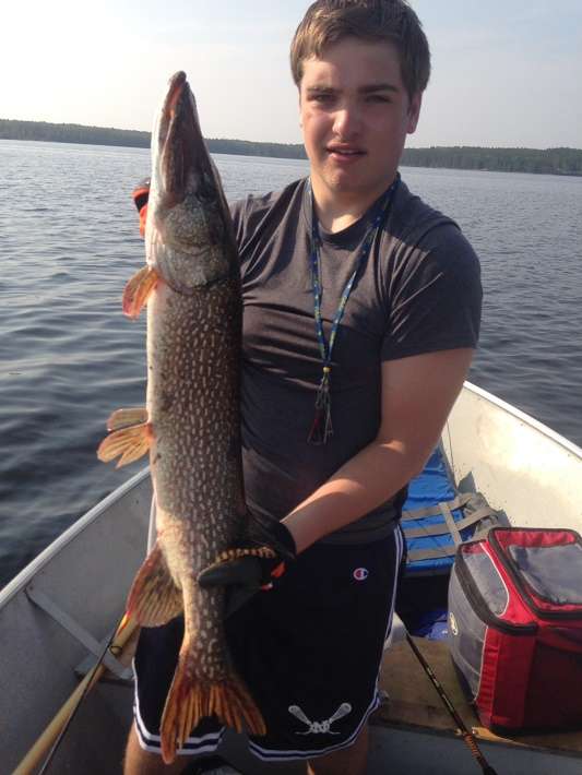 Northern Pike