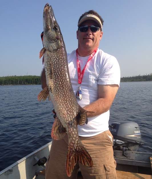 Northern Pike