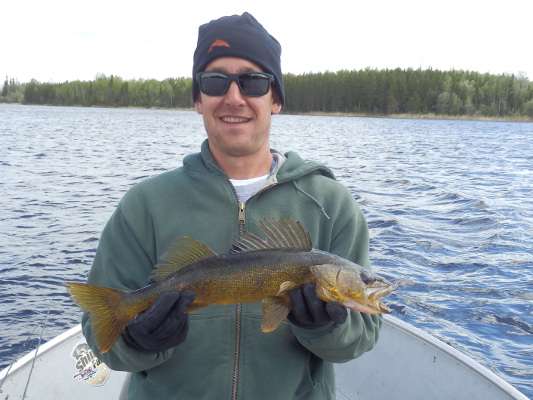 Walleye