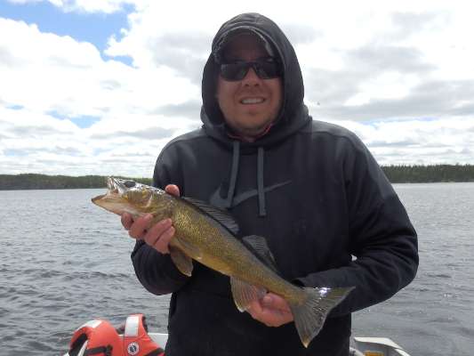 Walleye