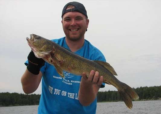 Walleye