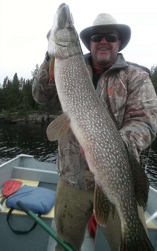 Northern Pike