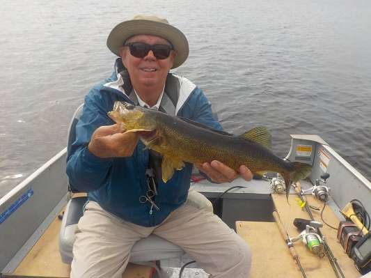 Walleye