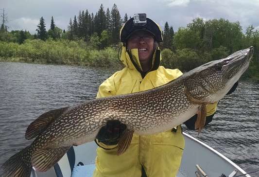 Northern Pike