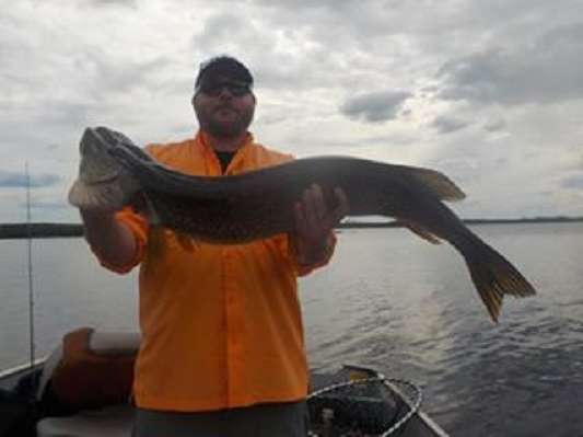 Northern Pike