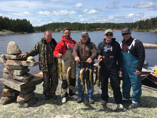 Walleye