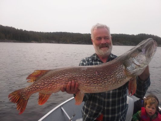 Northern Pike