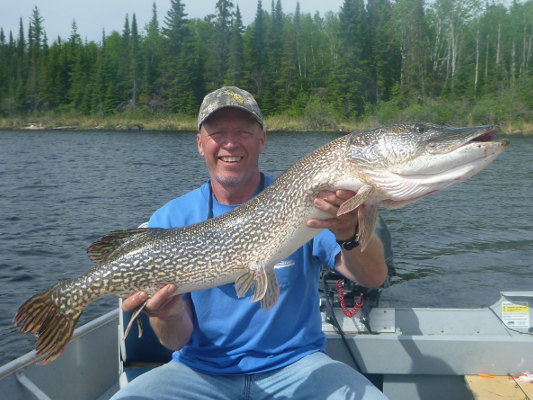 Northern Pike