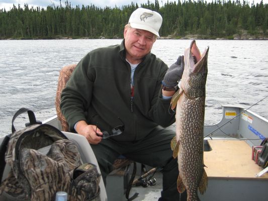 Northern Pike