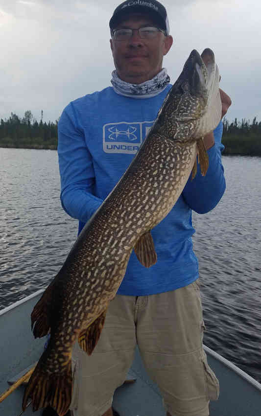 Northern Pike