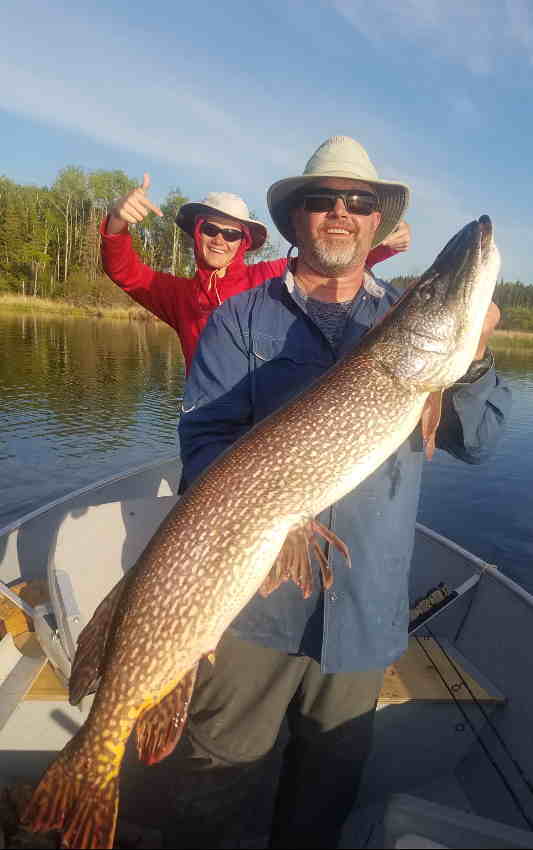 Northern Pike