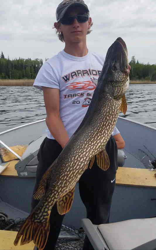 Northern Pike