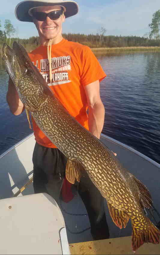 Northern Pike