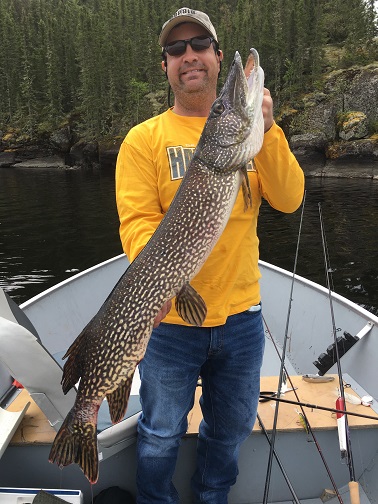 Northern Pike