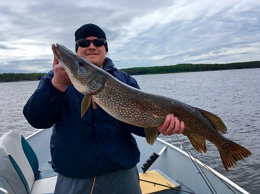 Northern Pike