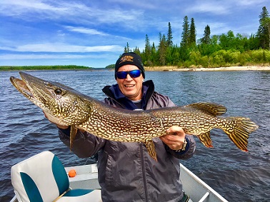 Northern Pike