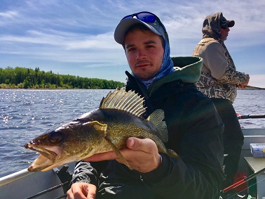 Walleye