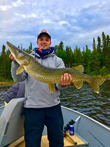 Northern Pike